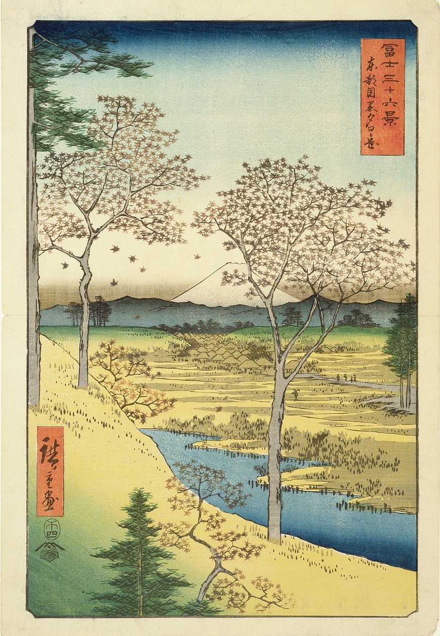 Fuji från Yuhi-Ga, Megwo, nr 10 från serien 