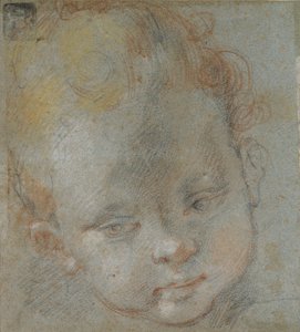 Head of a Child, sent 1500-tal av Federico Barocci