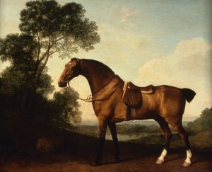 En sadlad Bay Hunter av George Stubbs