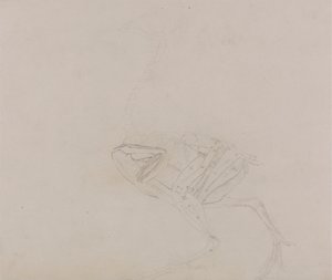 Dorking Hen Body, Lateral View (Studier av musklerna i kroppen och lemmar i ett senare skede av dissektion) av George Stubbs