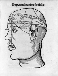 Hjärnskärning: studie för lokalisering av olika hjärnfunktioner. Gravyr från "Margarita phylosophia" av Gregor Reisch (1467-1525), Bale