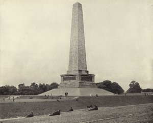 The Wellington Testimonial, Phoenix Park (s/v foto) av Irish Photographer