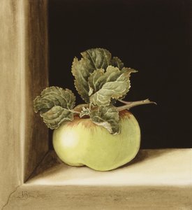 Apple (wc på papper)