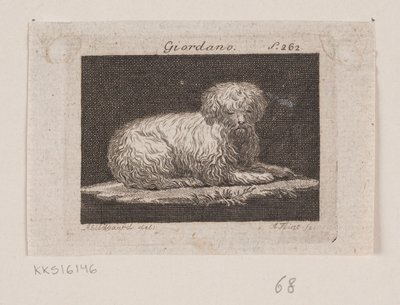 Giordano, en liggande hund av Andreas Flint