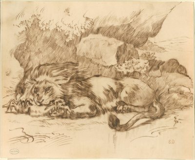 Lejon som slukar en kanin av Eugène Delacroix