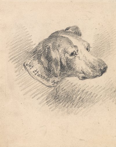 Head of a Hund av George Morland