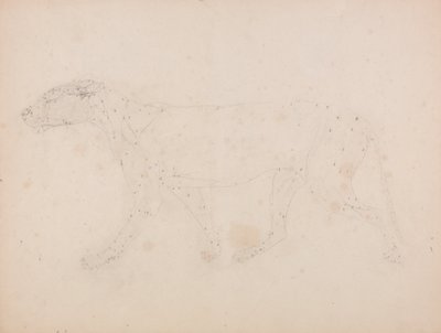 En jämförande anatomisk framställning av människokroppens struktur med en tigerkropp och en vanlig hönsfågel: Tigerkropp, vy från sidan (studie av musklerna för nyckeltalet till tabell IX) av George Stubbs