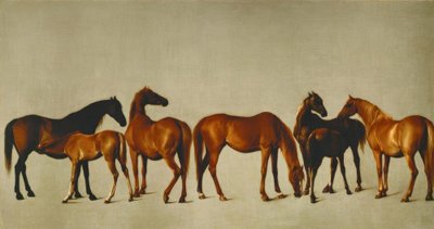 Sto med filéer av George Stubbs