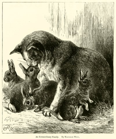 En extraordinär familj av Harrison William Weir