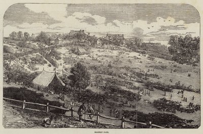 Barnet Fair av Harrison William Weir