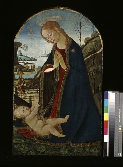Madonna Adoring The Christ Child (olja på trä) av Jacopo del Sellaio