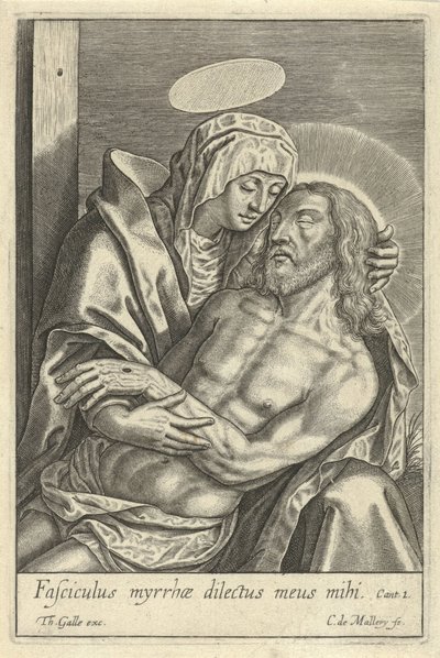 Pieta av Karel van Mallery