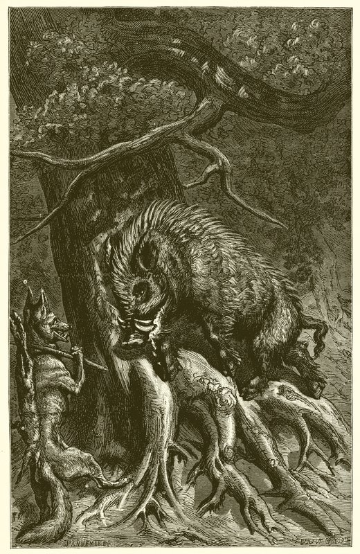 Räven och galten av Ernest Henry Griset